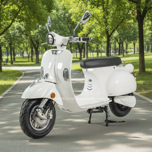 Motocicleta Eléctrica de Estilo Clásico Italiano Romagna, 60V, Batería Grande, Motocicleta para Adultos de Largo Alcance para Desplazamientos - Product Image 4