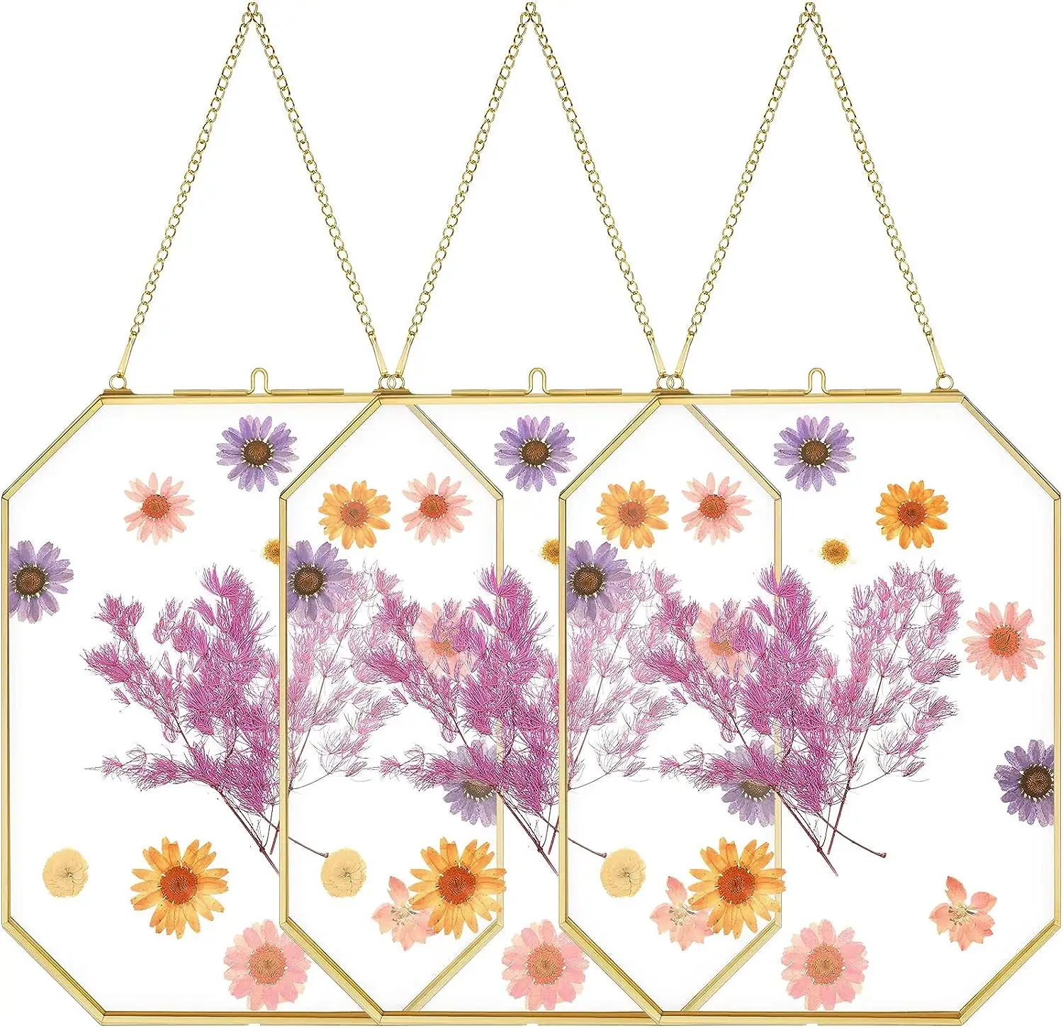 Hanging Gold Glass Floating Frame 8 x 10 Inch Octagon Brass Herbarium Glass Frame Double Clear Pressed Flower Frames