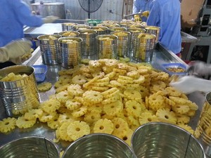 SIROP LÉGER DÉS ANANAS EN CONSERVE VENTE EN GROS DU VIETNAM - Product Image 5