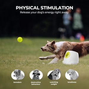 Lanzador Automático de Pelotas para Perros, Interactivo, Pequeño y Grande, con 3 Pelotas de Tenis de Goma, Máquina Lanzapelotas Automática para Mascotas, Interior y Exterior - Product Image 3