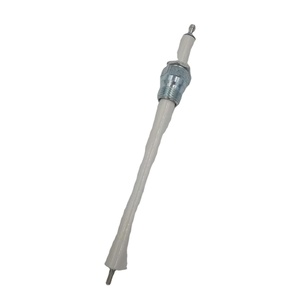 Electrodo de encendido MAXON, sonda de detección, enchufe de electrodo 39782, detector STOCK 209 - Product Image 1