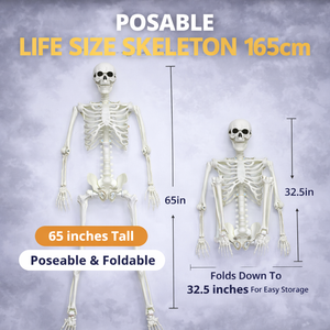 Squelette d'Halloween grandeur nature <span class=keywords><strong>de</strong></span> 165 cm - Décoration extérieure réaliste et flexible, décorations gonflables d'Halloween pour fêtes et jardins - Product Image 1