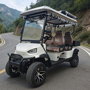 Carrito de Golf Eléctrico con Batería de Litio para Campos de Golf, 4+2 Plazas, Color Personalizado - Product Image 6