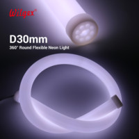 Ruban LED Néon Flexible en Silicone 30mm 360° IP65 RGB 2x120 LED/m, Découpable, IC à Courant Constant 5.56cm pour Éclairage Décoratif de Plafond et Moulures