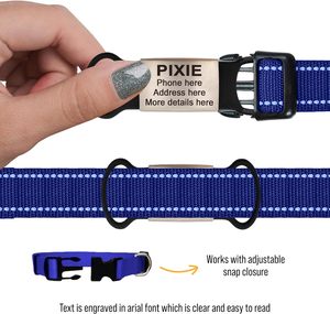 <span class=keywords><strong>2025</strong></span> USA nóng bán buôn chống mất Silicone Pet <span class=keywords><strong>tag</strong></span> tùy chỉnh kim loại thép không gỉ khắc <span class=keywords><strong>ID</strong></span> Tên con chó mèo ngựa cổ áo thẻ - Product Image 4