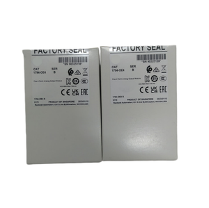 Módulo de Salida Analógica de 4 Canales AB 1794-OE4 FLEX I/O, 0-20mA / 4-20mA / 10V, Resolución de 12 Bits, Distribuido Industrialmente - Product Image 5