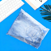 Sacs à fermeture éclair réutilisables en LDPE, imprimés par gravure, givrés, refermables, pour vêtements et chaussures, avec logo personnalisé, vente en gros
