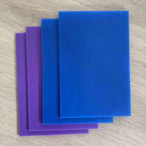 Panneau en nid d'abeille en plastique mince personnalisé de 3mm 4mm <span class=keywords><strong>Plaque</strong></span> en PP à noyau en nid d'abeille Feuille de plastique ondulée pour le festival - Product Image 4