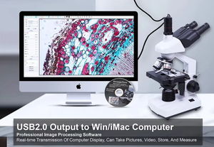 중국 공급 업체의 목표 실험실 디지털 비디오 현미경 경쟁력있는 가격 스테레오 현미경 - Product Image 4