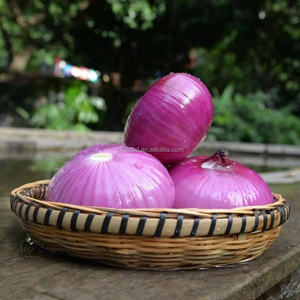 Gros oignons indiens rouges frais pour l'exportation pour le Vietnam Malaisie Singapour - Product Image 4