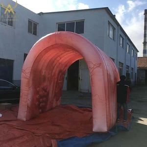 Tunnel gonflable géant en forme de côlon, tunnel gonflable personnalisé en forme d'organe - Product Image 4