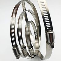 Collier de serrage réglable en acier inoxydable 304 pour conduits d'air colliers de serrage à vis sans fin
