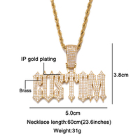 TikTok Viral Hip-hop Accessoires Bijoux Nouveau Hip Hop Pendentif En Laiton Glacé CZ Piège Police Personnalisé Lettre Nom Collier pour Hommes