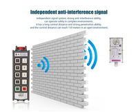 Grúa Eléctrica Inalámbrica con Control Remoto de 8 Botones, de Una Sola Velocidad, Resistente al Agua IP66, para Uso Industrial
