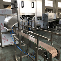 Machine à fabriquer de l'eau en bouteille de 19 litres 20 litres en plastique de 5 gallons / Usine d'embouteillage d'eau de 5 gallons / Ligne de production d'eau de 5 gallons