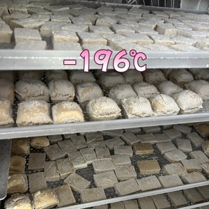 Congelador <span class=keywords><strong>de</strong></span> Nitrógeno Líquido Multifuncional para Frutas, Equipo <span class=keywords><strong>de</strong></span> Congelación Rápida Comercial, Congelador Pequeño para Durian, Utilizado en Fábricas <span class=keywords><strong>de</strong></span> Alimentos - Product Image 5