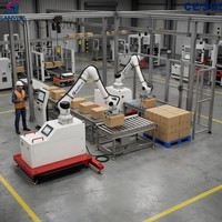 Paletizador Robótico de Grado Industrial, Servicio Personalizado, Tipo Elevador, Capacidad de Carga de 30 kg, Totalmente Automático