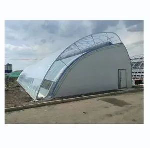 Chinese Style Single Span Sunlight Winter Greenhouse For Hydroponic Growing System