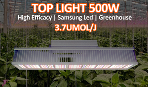 Lámpara LED de Cultivo de Espectro Completo de Aluminio LM301H EVO <span class=keywords><strong>500W</strong></span> 3.7umol/j con UV/IR para Floración y Mejor Crecimiento de Plantas - Product Image 2