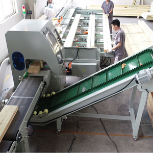 Saifan tự động Cutoff Saw Lumber Máy cắt với hệ thống cho ăn - Product Image 5