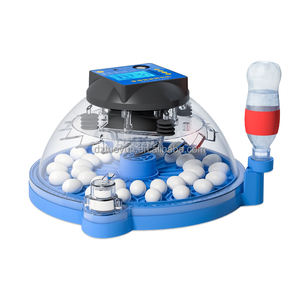 Incubateur automatique pour œufs de canaris TUOYUN, petit modèle, 93 œufs, vente en gros - Product Image 2