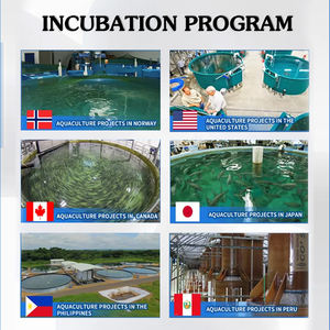 Ras peralatan akuakultur sistem untuk perternakan ikan Tilapia Udang di Kolam - Product Image 2