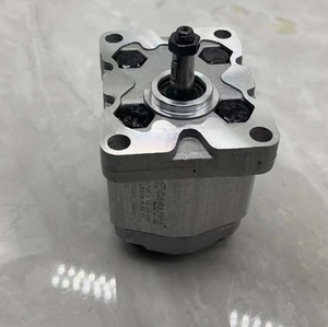 PLP20.25-LGE/<span class=keywords><strong>Gd</strong></span>/20 20-lge/<span class=keywords><strong>Gd</strong></span> <span class=keywords><strong>D</strong></span> FS EL casappa thủy lực bơm bánh răng PLP20.31.5D0-82E2-LEB/EA-N-EL-A-FS - Product Image 5