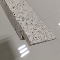 Nouvelle plaque de fibres-ciment ignifuge A1 légère et résistante à l'humidité de 16 mm d'épaisseur pour façade décorative extérieure