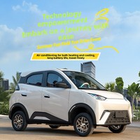 Vehículo Eléctrico de Cuatro Ruedas y Cuatro Puertas, Funciona con Batería, para Uso Doméstico, Tamaño Pequeño, No Requiere Licencia, para Adultos