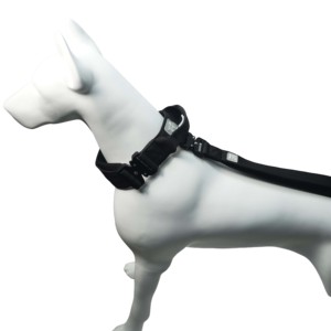 Nylon <b>collar</b> traction set Pet <b>dog</b> <b>collar</b> with padded <b>collar</b> Lightweight aluminum fittings for medium and large <b>dogs</b> - Product Image 3