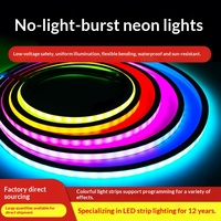 Bande lumineuse LED en silicone RGB, étanche IP67, 12V/24V, dimmable, avec puces 2835 5050, pour décoration extérieure de jardin et de pièce