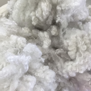 Fibre de remplissage décontracté 7d/15d HCS, HS, HC - Product Image 1