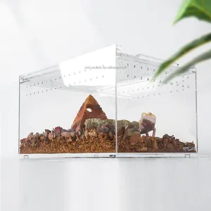 Terrário acrílico transparente personalizado, capa de exibição de reptilha de pet