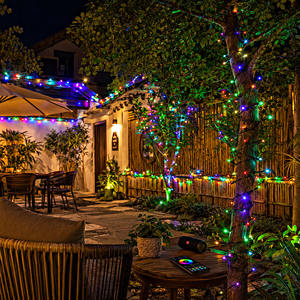 Guirnalda de Luces LED de 10m, 100 LED, 220V, con Cable de PVC IP67, Color Rojo y Azul, para Decoración de Jardín y Navidad en Exteriores - Product Image 5