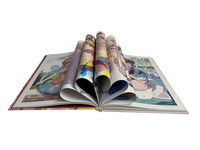 Grande qualité en gros étui à couverture rigide personnalisé relié bande dessinée manga livre Offset service d'impression or estampillé