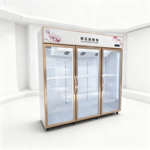 <span class=keywords><strong>Refrigerador</strong></span> Comercial para Exhibición de Flores, Enfriado por Aire, Especializado para Floristerías, Enfriador Viral para Conservación de Flores Frescas - Product Image 4