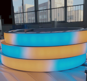 LED Neon Flex Strip 8x13mm DC24V IP65 Silicone USB Remote Dimmable Epistar <b>Rope</b> <b>Light</b> for Room Decor CE RoHS Certified - Product Image 2