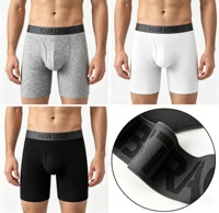 Boxer pour homme en coton écologique, taille mi-haute, respirant, antibactérien, avec logo laser personnalisé, taille élastique, grande taille, vente en gros