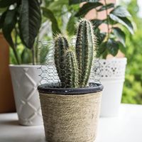 Grillage hexagonal en fer galvanisé pour clôture, facilement assemblable, idéal pour les créations florales, couronnes, jardin et volailles