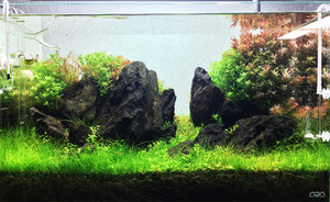 ADA terreno power <span class=keywords><strong>sabbia</strong></span> substrato fertilizzante acqua pianta coltiva serbatoio di pesce ADA originale <span class=keywords><strong>acquario</strong></span> di fango - Product Image 4