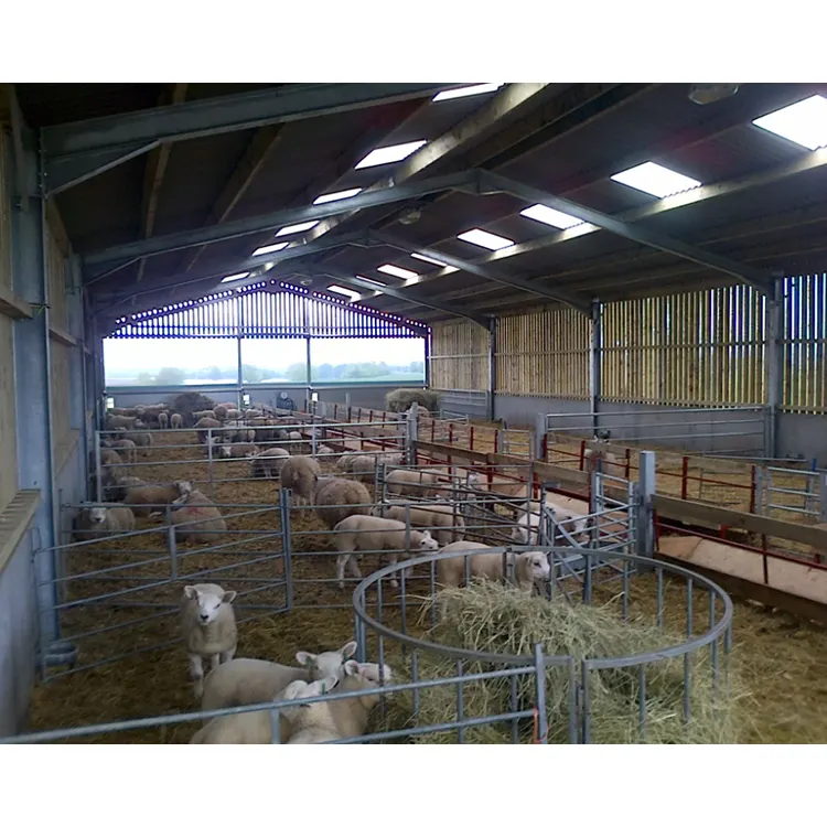 Bâtiment préfabriqué Structure en acier Hangar d'élevage de moutons