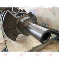 Vilebrequin de moteur D20F de haute qualité pour SSANGYONG Korando OEM 6710300201 67101010101