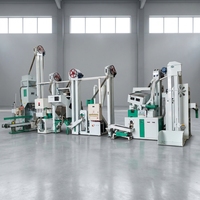 Machine compacte de décorticage du riz 1000 kg/h, haute performance, avec moteur et roulement, pour petite usine de traitement du riz