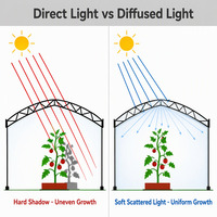 Film de serre à haute transmission lumineuse, 6 mil, résistant aux UV, anti-vieillissement, anti-buée, anti-goutte, isolation thermique