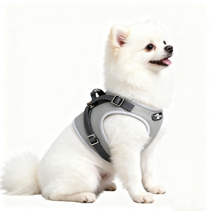 Hondenharnas van leder op maat, luxe gepersonaliseerd logo, waterdicht, klein/groot, hondenhalsband vest - Product Image 1