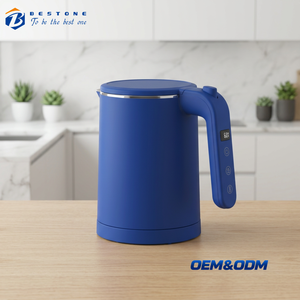 Mini chauffe-eau électrique Deep Blue 0,6 L avec réglage de 40 à 100 ℃   Paramètres de température et construction à double paroi - Product Image 1