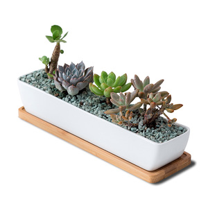 Dropshipping, maceta suculenta de cerámica blanca de 11,1 pulgadas, platillos de bambú, forma rectangular Rectangular para el hogar, jardín y oficina - Product Image 1