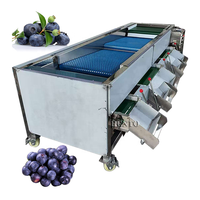 Hoge Efficiëntie Sorteermachine Blauwe Bessen / Blauwe Bessen Sorteermachine / Blauwe Bessen Graderingsmachine