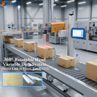 Imprimante laser électrique haute précision pour le codage QR/codes-barres sur boîtes en plastique, canettes, ceintures, sachets, emballages, cartons/sacs/films