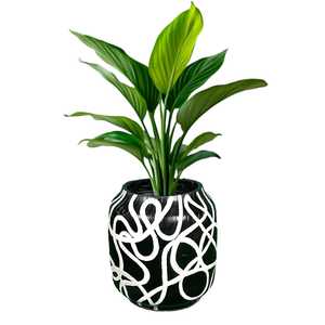 Pot de fleurs décoratif d'intérieur, décoration de maison, bureau, salon, support de verdure de table, élégant, noir et blanc - Product Image 1